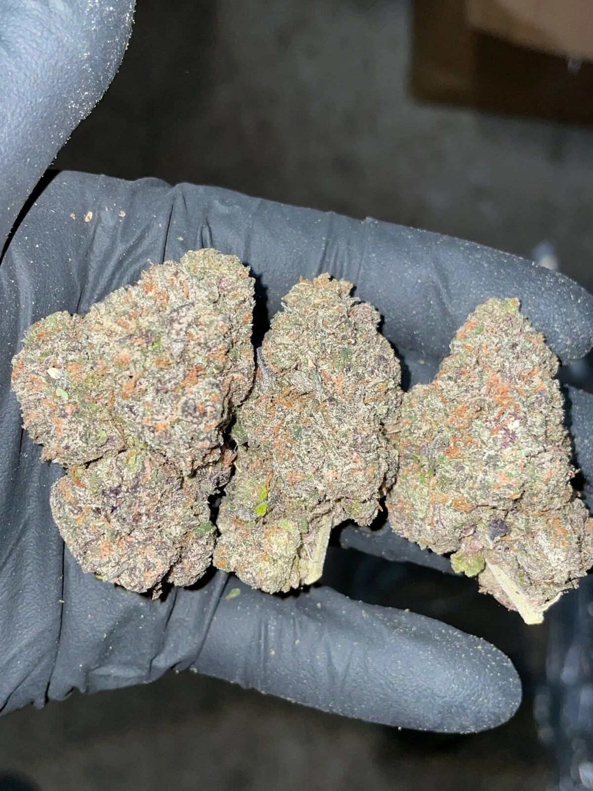 midnight runts